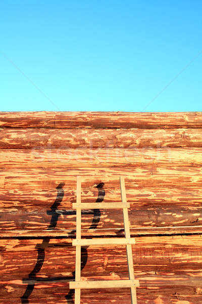 construction of the new wooden building Stock photo © basel101658