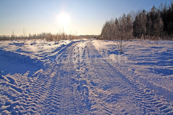 Inverno estrada árvore madeira floresta sol Foto stock © basel101658