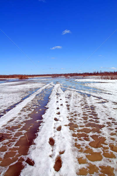 road in snow Stock photo © basel101658