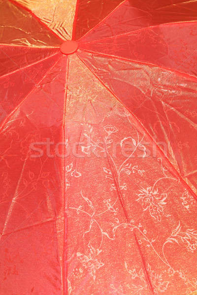 umbrella Stock photo © basel101658