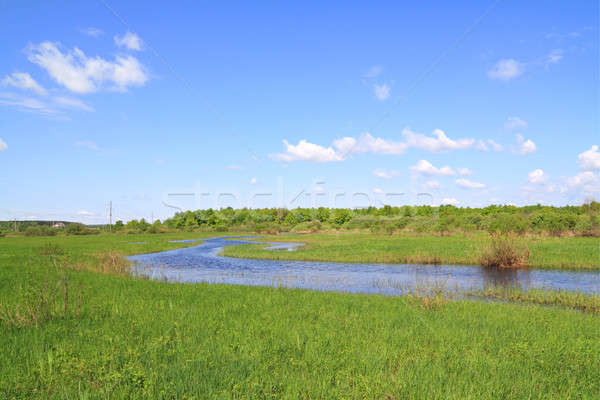 Stock photo: river on field