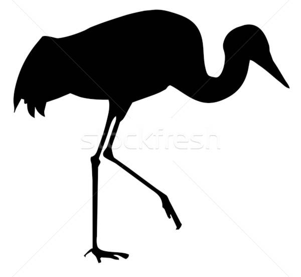 silhouette of the crane isolated on white background Stock photo © basel101658