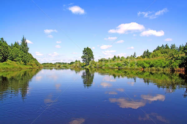 Eiche Küste Fluss Natur Sommer Bereich Stock foto © basel101658