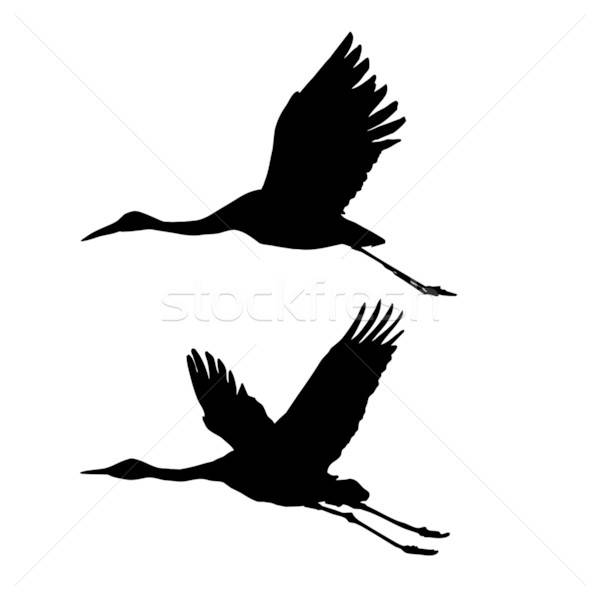 silhouette flying cranes isolated on white background Stock photo © basel101658