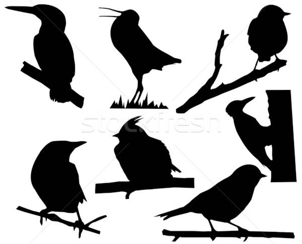 Vektor Zeichnung Silhouette wenig Vögel Zweig Stock foto © basel101658