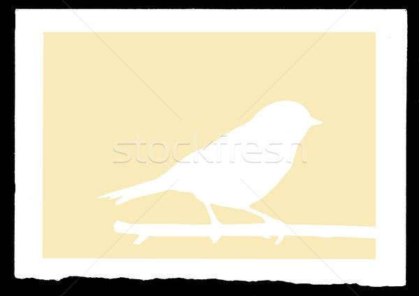 vector drawing Stock photo © basel101658