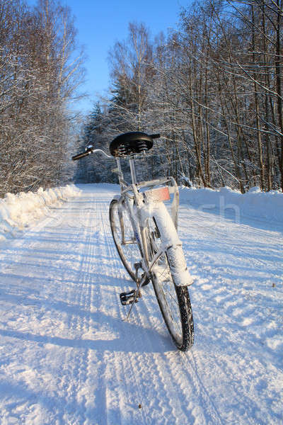 old bicycle on winter road Stock photo © basel101658