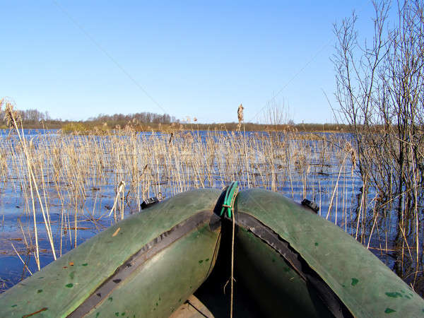 rubber boat amongst reed       Stock photo © basel101658