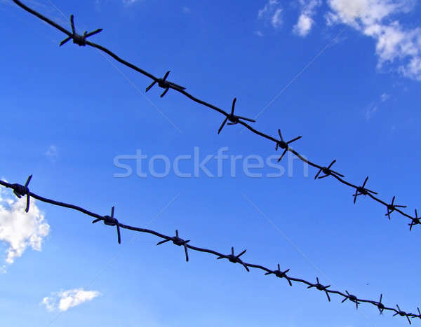 Barbed wire and blue sky Stock photo © basel101658