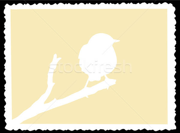 vector drawing Stock photo © basel101658