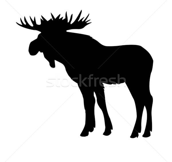 Silhouet eland geïsoleerd witte achtergrond schilderij Stockfoto © basel101658