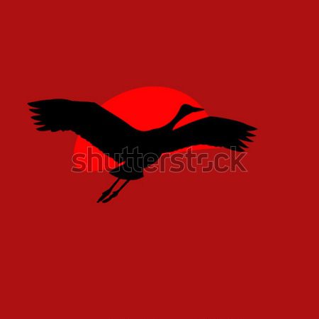 illustration of the crane on background red sun Stock photo © basel101658