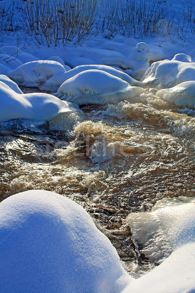 river flow amongst ice Stock photo © basel101658