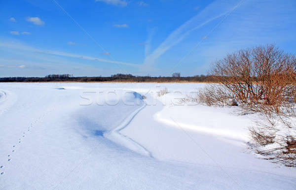 Winter Landschaft Holz Wald Natur Schnee Stock foto © basel101658