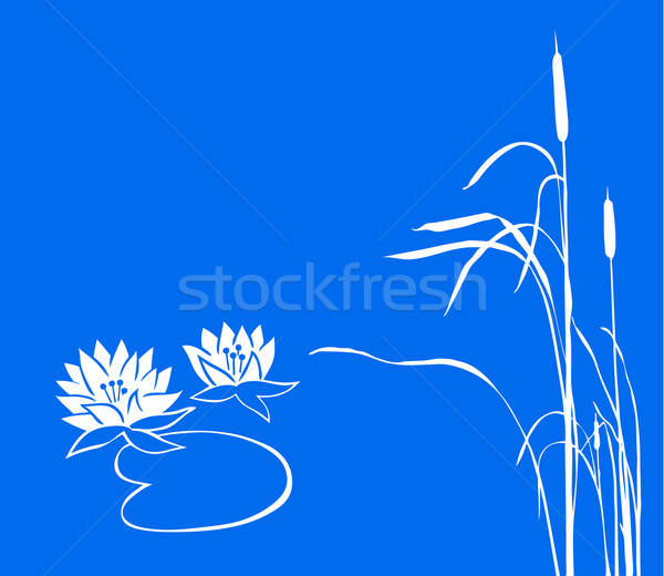 vector drawing Stock photo © basel101658