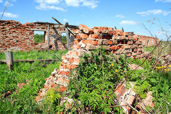 разрушенный кирпичная стена весны стены краской черный Сток-фото © basel101658