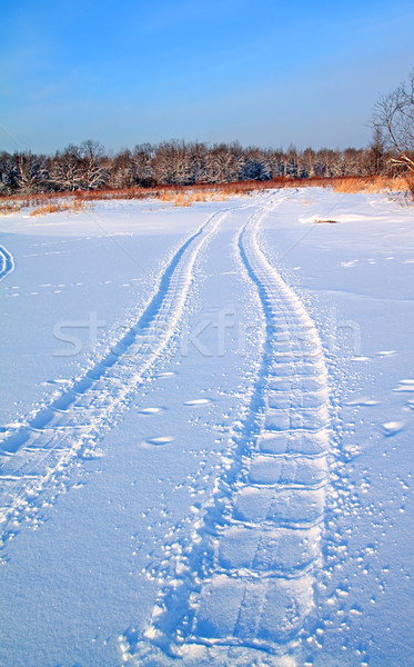 Rurale strada inverno campo auto sport Foto d'archivio © basel101658