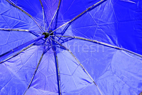 blue umbrella Stock photo © basel101658