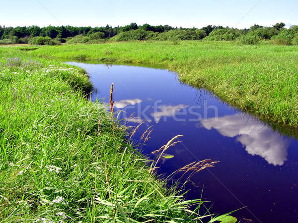 Fluss Bereich Wasser Baum Frühling Gras Stock foto © basel101658