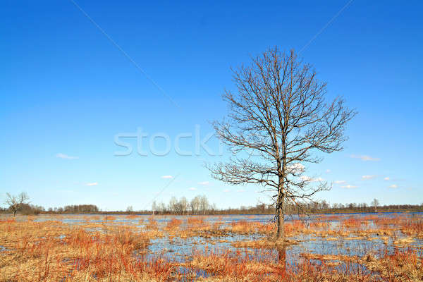 flood on river Stock photo © basel101658