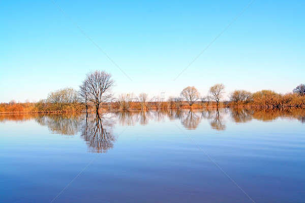 árbol agua cielo naturaleza belleza piscina Foto stock © basel101658