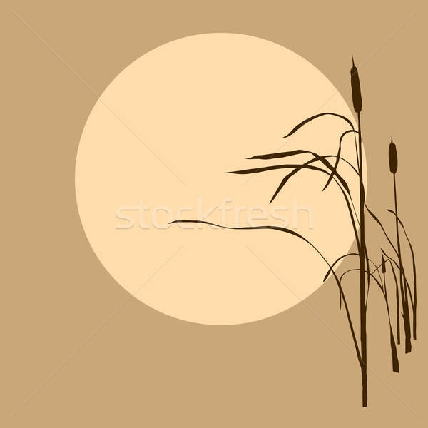 vector drawing Stock photo © basel101658