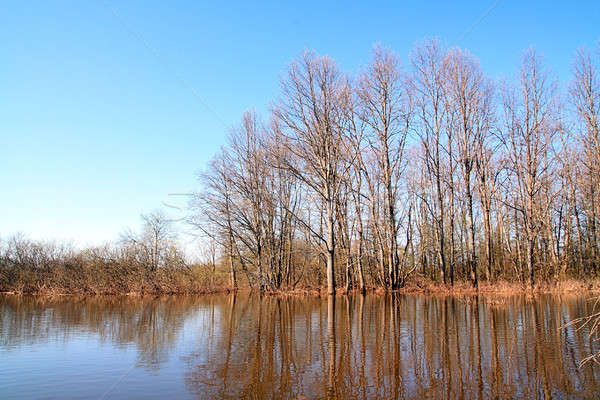 Inundação madeira céu natureza beleza piscina Foto stock © basel101658