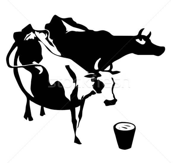 Vecteur dessin silhouette deux vaches blanche [[stock_photo]] © basel101658