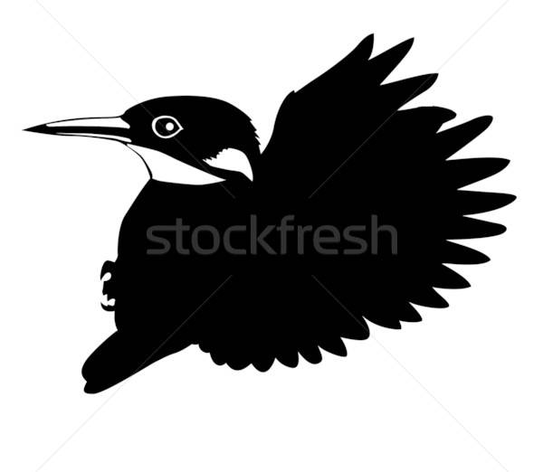 Vektor Zeichnung Silhouette unter Vögel weiß Stock foto © basel101658