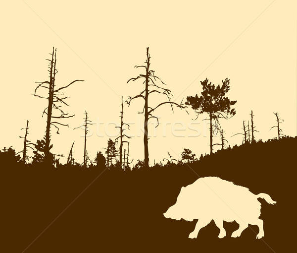 Vektor Zeichnung Silhouette Wildschwein Wald Stock foto © basel101658