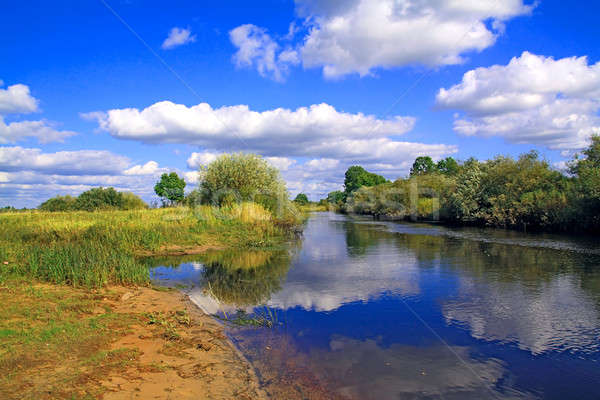 Isola fiume natura estate campo verde Foto d'archivio © basel101658