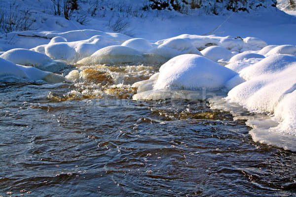 river flow in winter Stock photo © basel101658