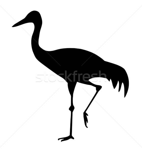 silhouette of the goinging crane on white background Stock photo © basel101658