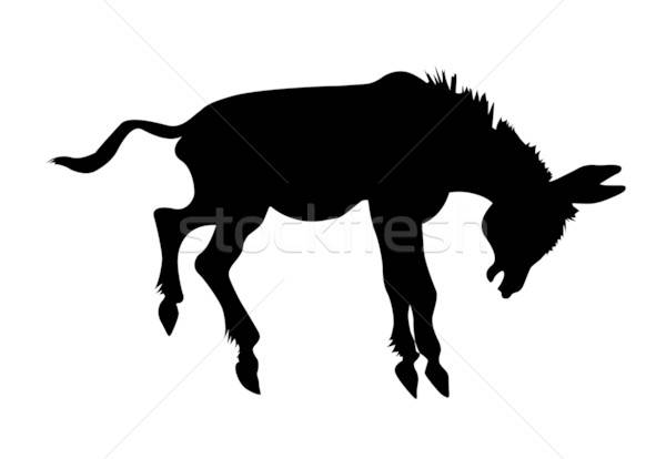 Stock photo: vector silhouette stubborn ass on white background