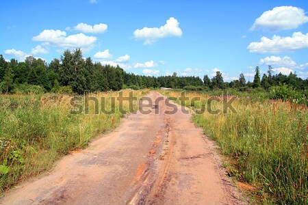 aging rural road Stock photo © basel101658