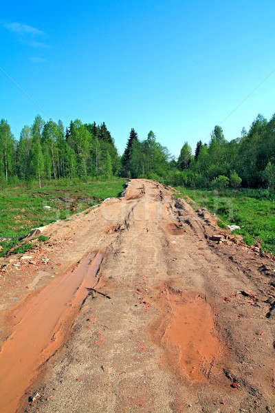 dirty rural road Stock photo © basel101658