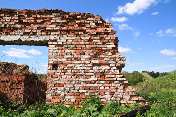 Foto stock: Destruído · parede · de · tijolos · céu · primavera · parede · pintar