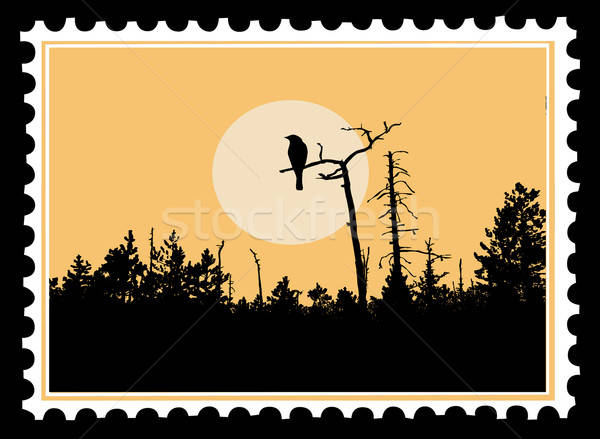 vector silhouette swallow on postage stamps Stock photo © basel101658