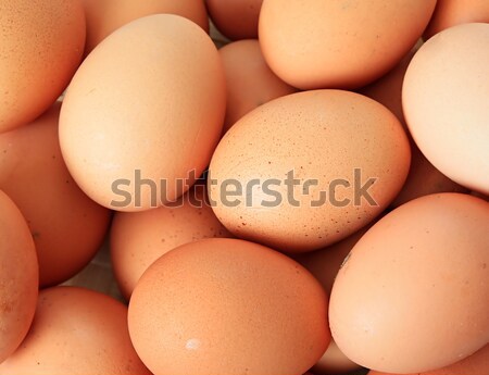 egg background Stock photo © basel101658