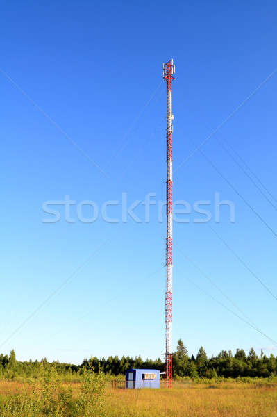 Сток-фото: антенна · бизнеса · небе · интернет · древесины · телевидение