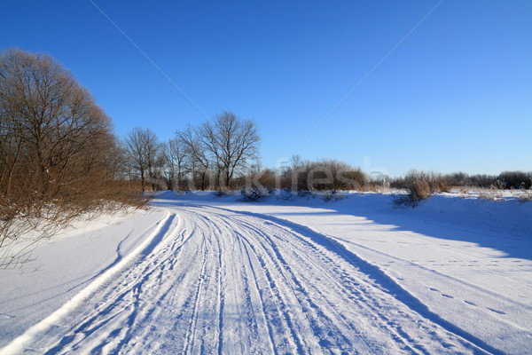 winter road Stock photo © basel101658