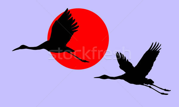 vector illustration of the cranes in sky on background red sun Stock photo © basel101658