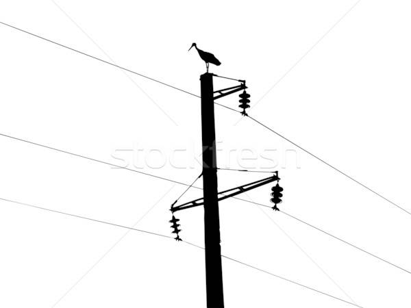 silhouette of the crane on white background Stock photo © basel101658