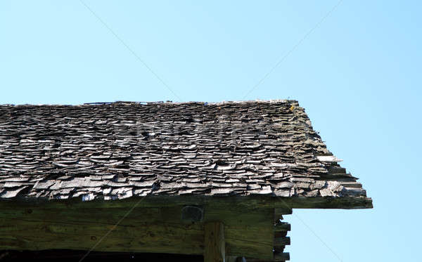 roof of the old rural building Stock photo © basel101658