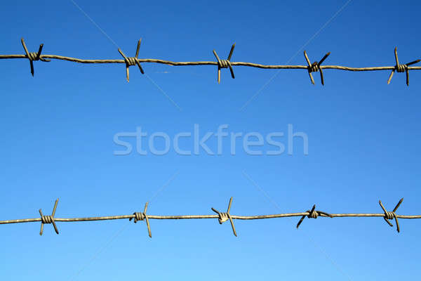 barbed wire Stock photo © basel101658