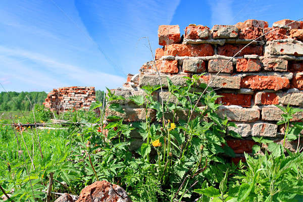 Détruit mur de briques printemps mur peinture noir [[stock_photo]] © basel101658