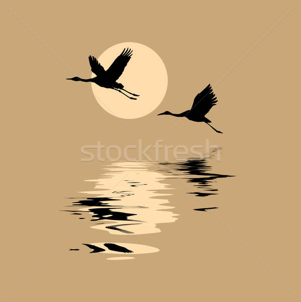 vector silhouettes flying cranes on background sun Stock photo © basel101658