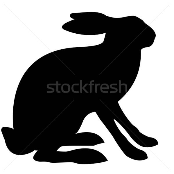 illustration hare isolated on white background Stock photo © basel101658