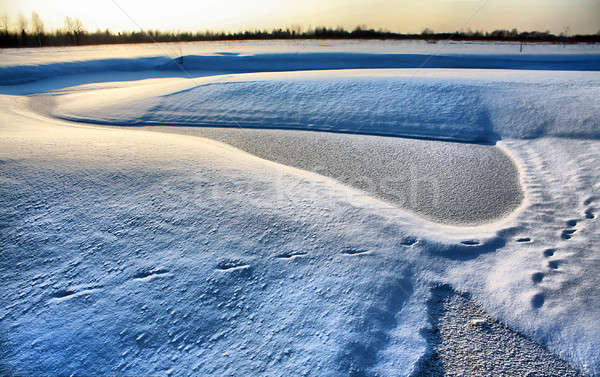 Wenig Fluss Schnee Bereich Holz Stock foto © basel101658