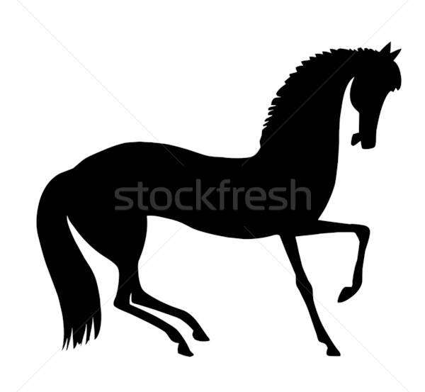 Vecteur dessin illustration cheval blanche sport Photo stock © basel101658